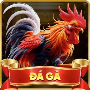Quản lý vốn f168